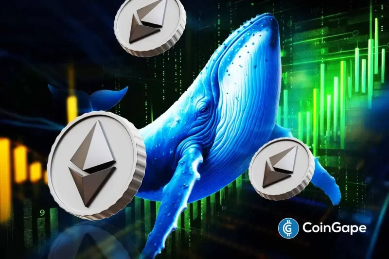 Ethereum Price Outlook Hinges on Whale Moves: Dump Below $2,800 or Reclaim Above $3K Next?